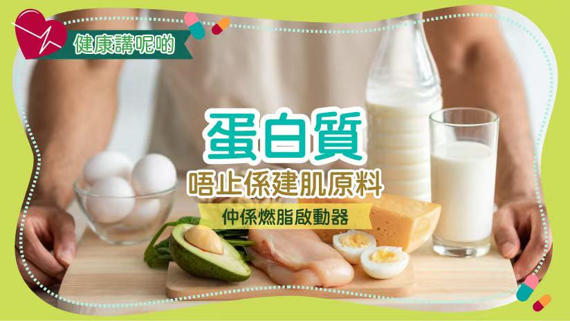 🧠 蛋白質如何啟動脂肪燃燒？