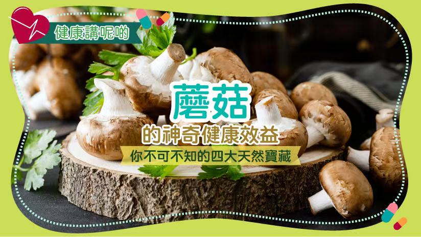 蘑菇的神奇健康效益：你不可不知的四大天然寶藏