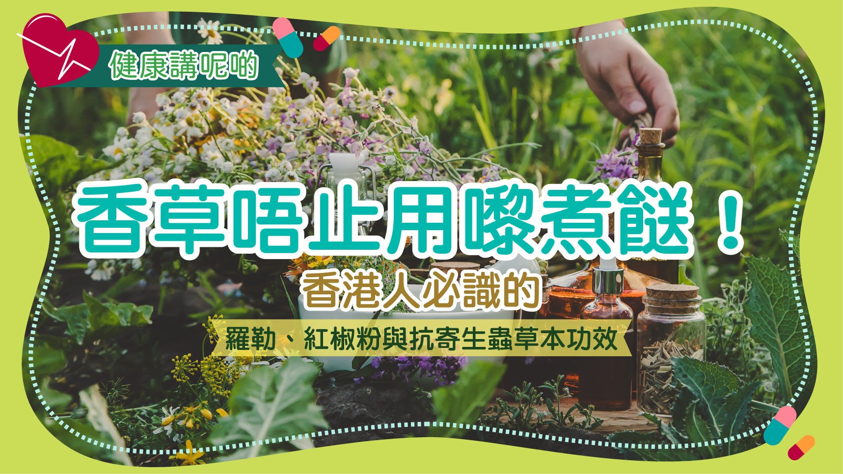 香草唔止用嚟煮餸！香港人必識的羅勒、紅椒粉與抗寄生蟲草本功效