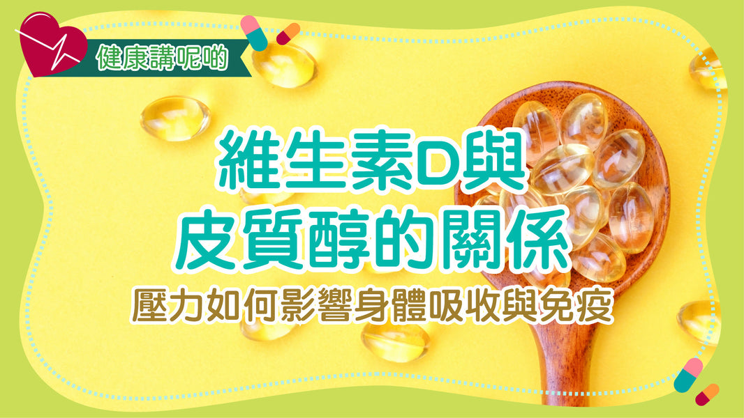 維生素D與皮質醇的關係：壓力如何影響身體吸收與免疫