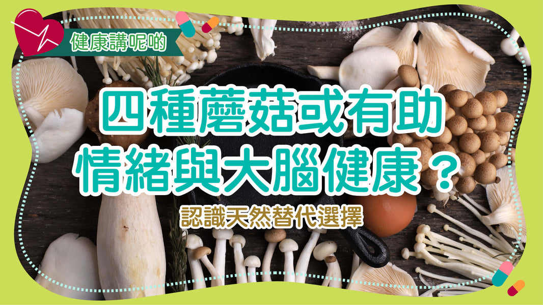四種蘑菇或有助情緒與大腦健康？認識天然替代選擇