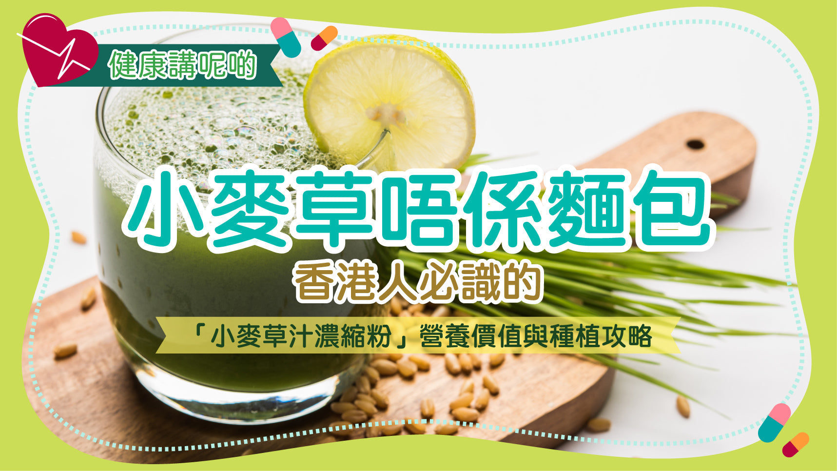 小麥草唔係麵包！香港人必識的「小麥草汁濃縮粉」營養價值與種植攻略