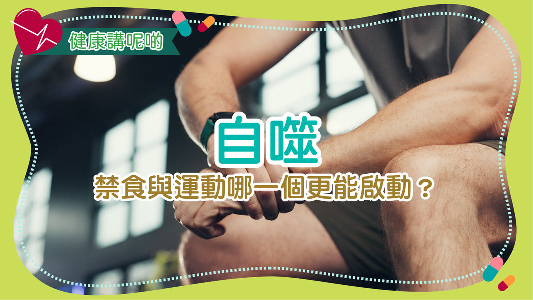 自噬：禁食與運動哪一個更能啟動？