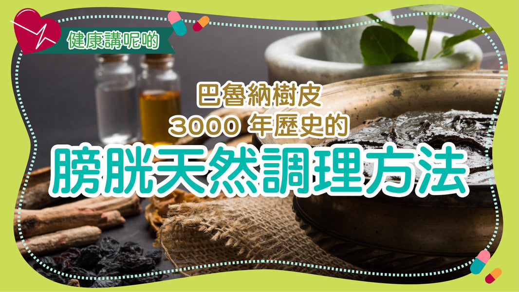 Baruna（巴魯納樹皮）：3000 年歷史的膀胱天然調理方法
