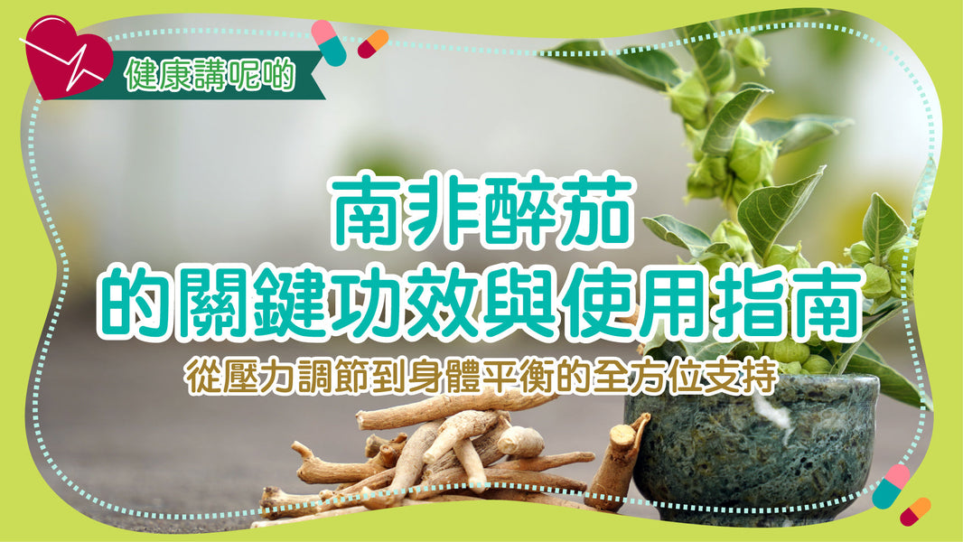 南非醉茄的關鍵功效與使用指南：從壓力調節到身體平衡的全方位支持
