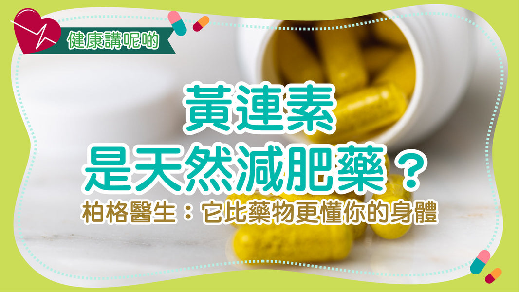 黃連素是天然減肥藥？柏格醫生：它比藥物更懂你的身體