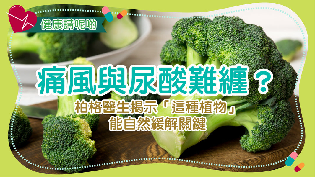 痛風與尿酸難纏？柏格醫生揭示「這種植物」能自然緩解關鍵