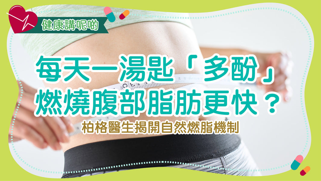 每天一湯匙「多酚」，燃燒腹部脂肪更快？柏格醫生揭開自然燃脂機制