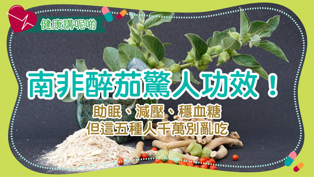 南非醉茄驚人功效！助眠、減壓、穩血糖　但這五種人千萬別亂吃