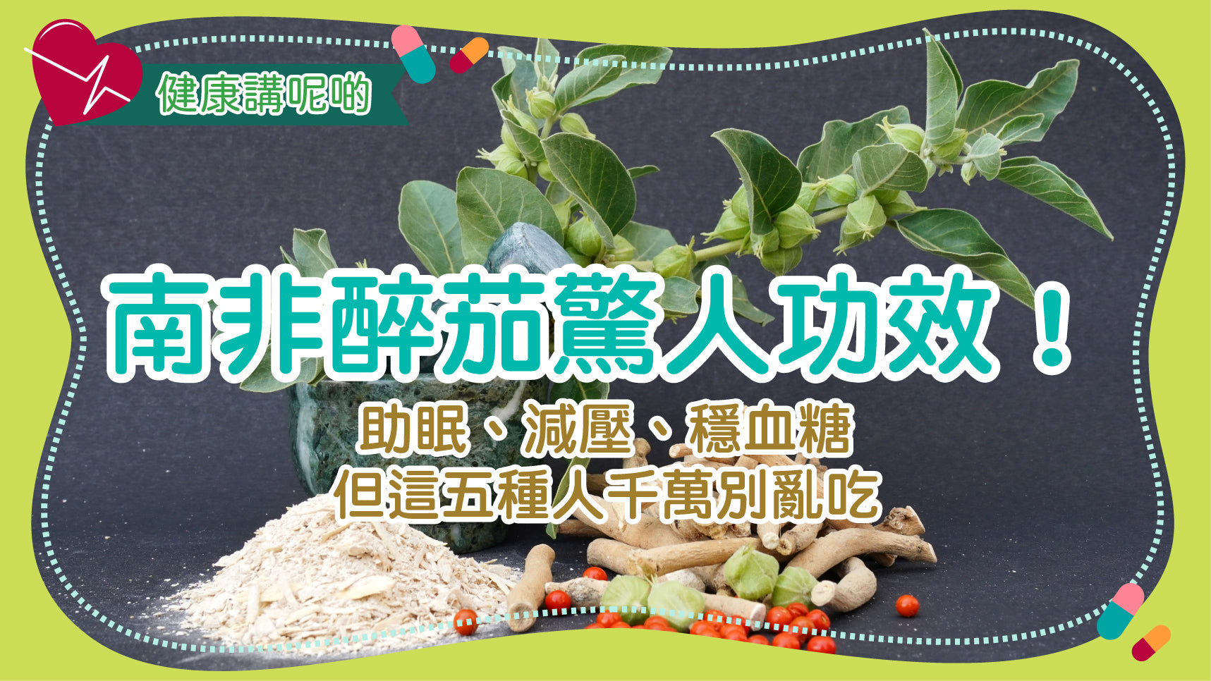 南非醉茄驚人功效！助眠、減壓、穩血糖　但這五種人千萬別亂吃