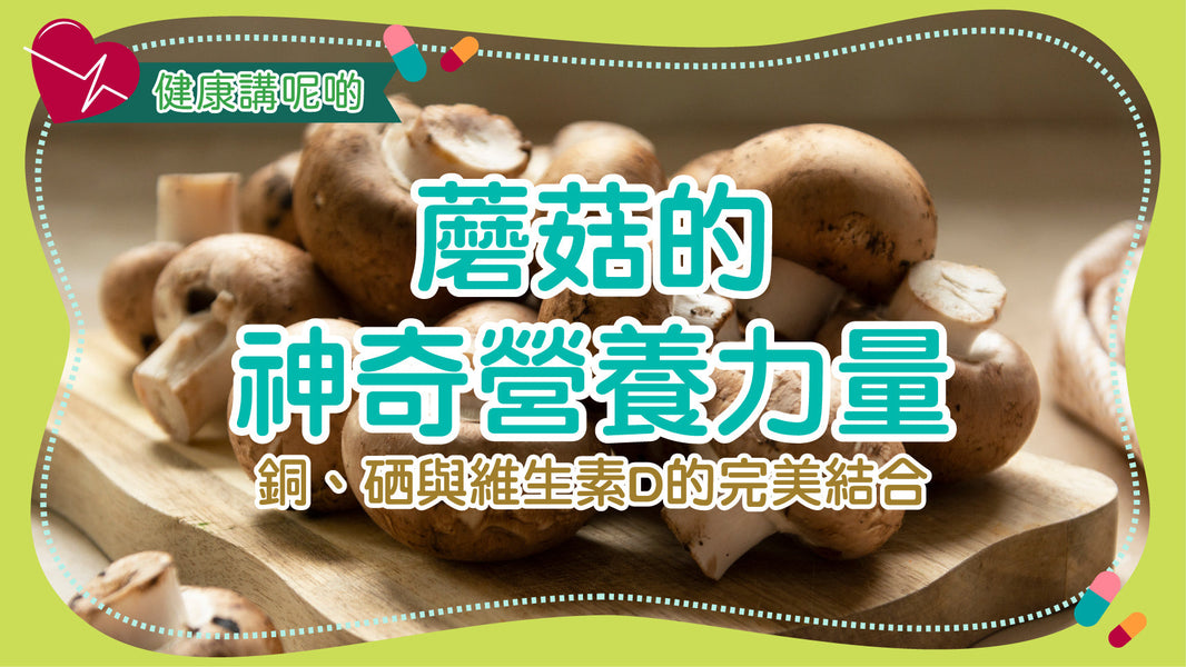 蘑菇的神奇營養力量：銅、硒與維生素D的完美結合