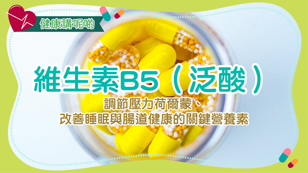 維生素B5（泛酸）：調節壓力荷爾蒙、改善睡眠與腸道健康的關鍵營養素