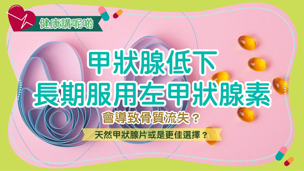 甲狀腺低下長期服用左甲狀腺素，會導致骨質流失？天然甲狀腺片或是更佳選擇？