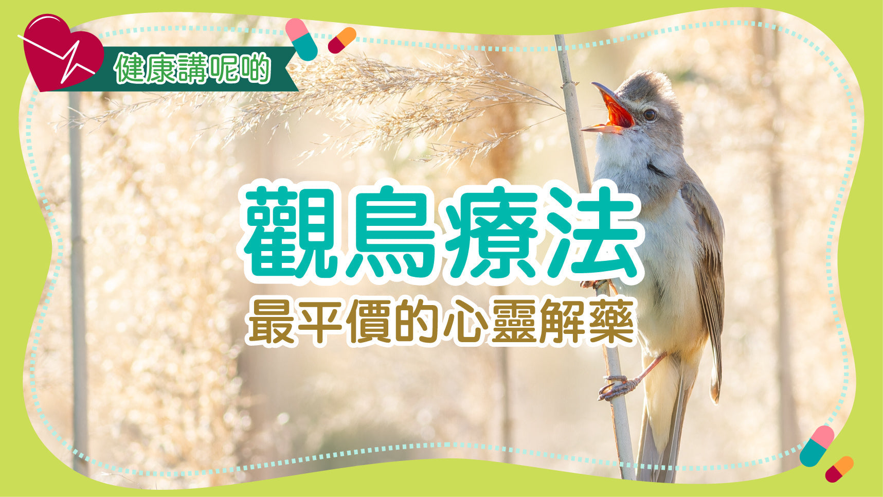 觀鳥療法：最平價的心靈解藥