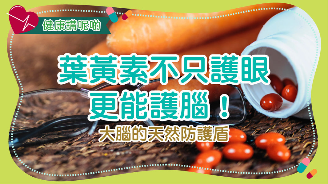 葉黃素不只護眼，更能護腦！大腦的天然防護盾