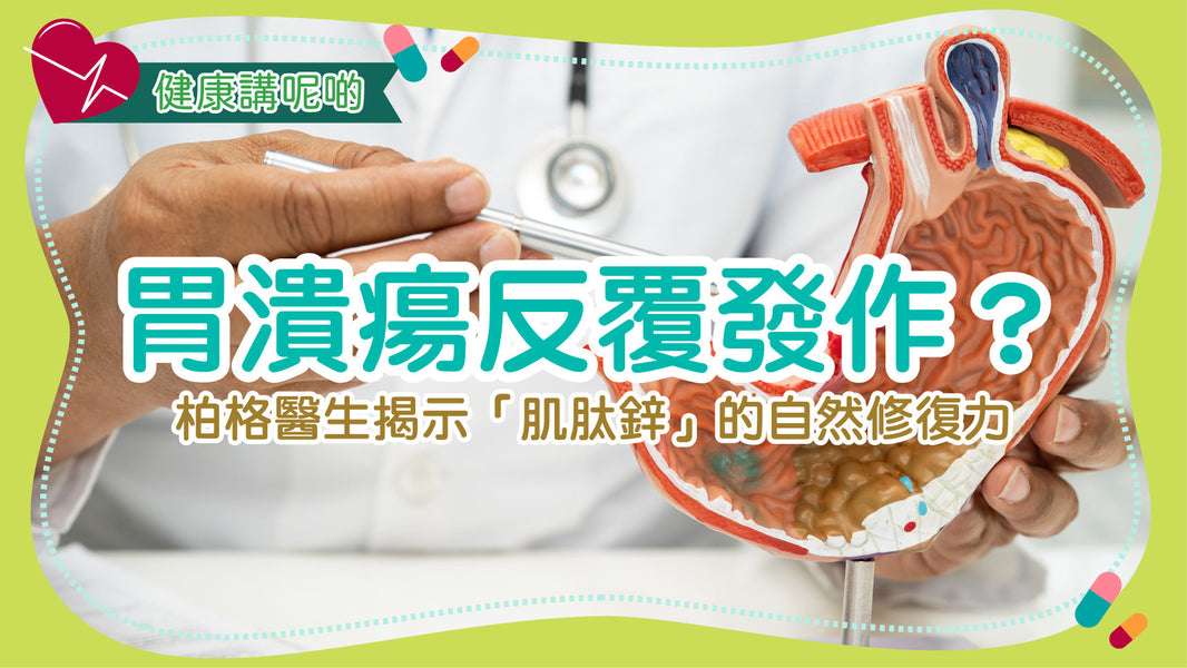 胃潰瘍反覆發作？柏格醫生揭示「肌肽鋅」的自然修復力