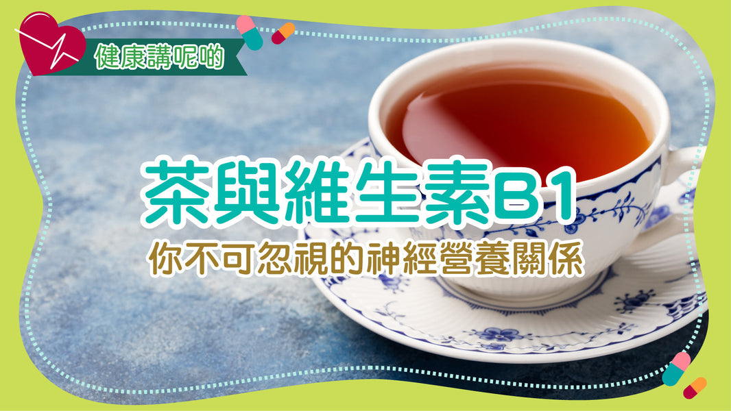 茶與維生素B1：你不可忽視的神經營養關係