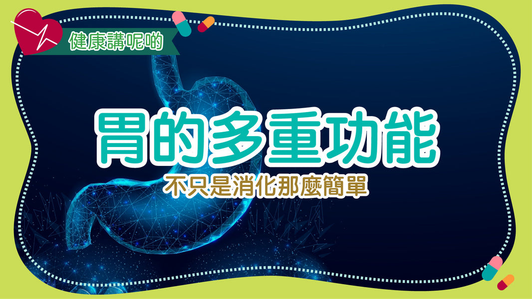 胃的多重功能：不只是消化那麼簡單