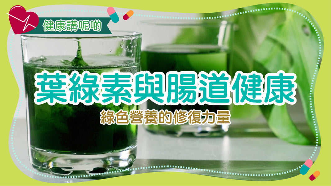葉綠素與腸道健康：綠色營養的修復力量