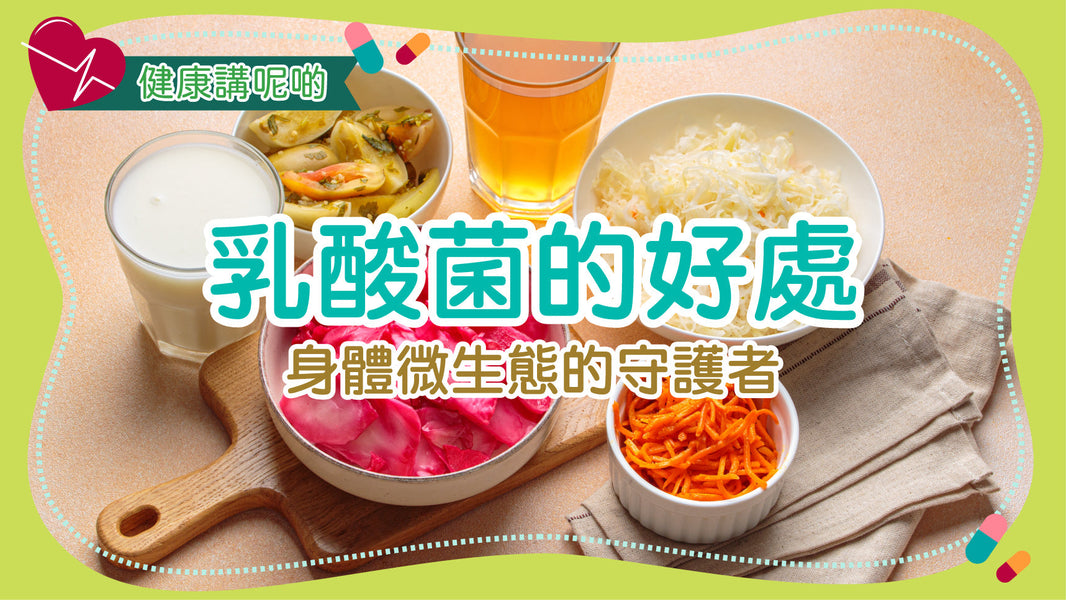 乳酸菌的好處：身體微生態的守護者