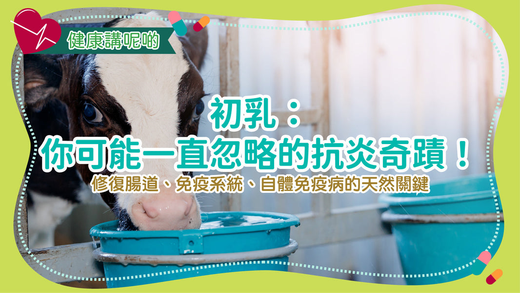 初乳：你可能一直忽略的抗炎奇蹟！修復腸道、免疫系統、自體免疫病的天然關鍵