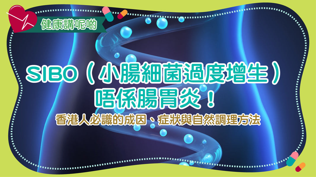 SIBO（小腸細菌過度增生）唔係腸胃炎！香港人必識的成因、症狀與自然調理方法