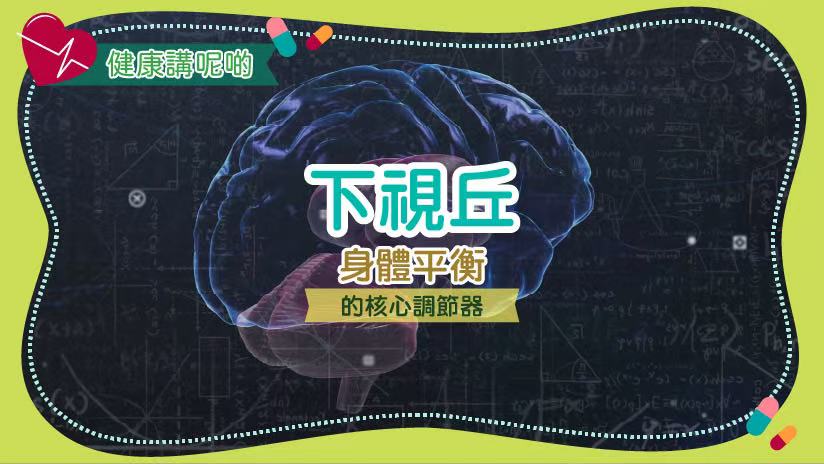 下視丘：身體平衡的核心調節器