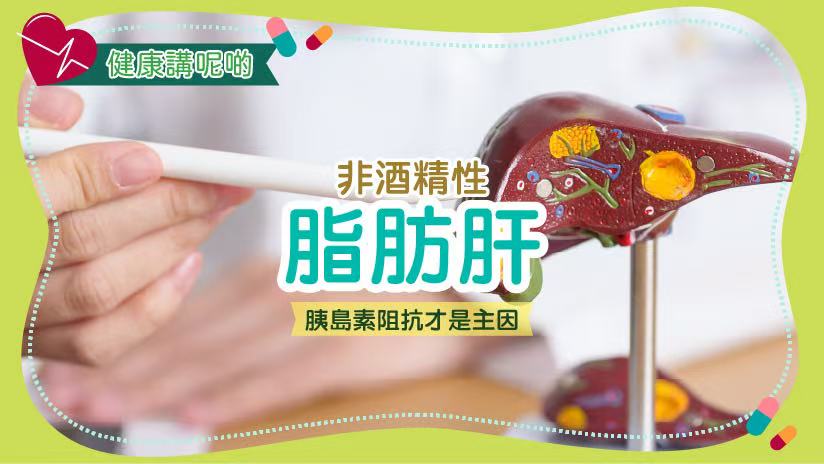 非酒精性脂肪肝：胰島素阻抗才是主因