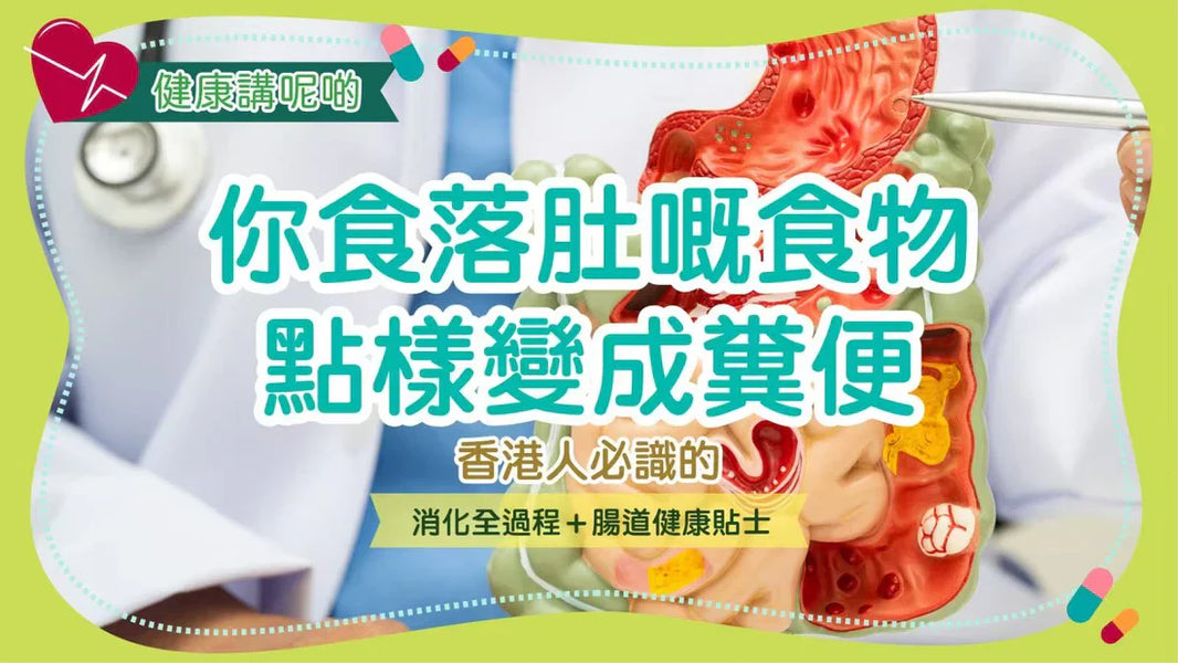 食物點樣變糞便？香港人必識的「消化全流程」與腸道健康關鍵