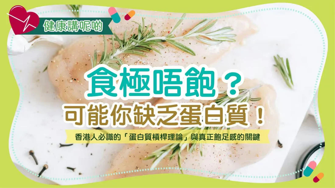 食極唔飽？可能你缺乏蛋白質！香港人必識的「蛋白質槓桿理論」與真正飽足感的關鍵