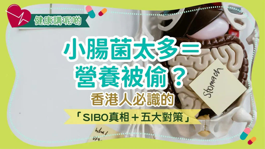 小腸菌太多＝營養被偷？香港人必識的「SIBO真相＋五大對策」
