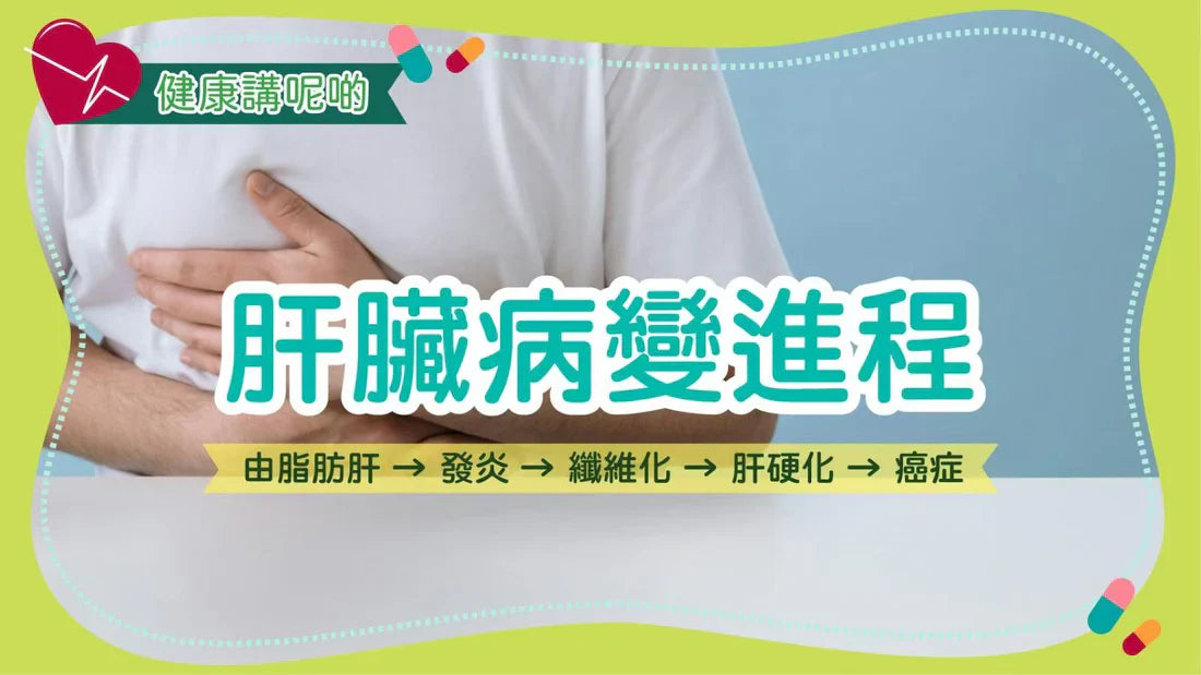 肝臟病變進程：由脂肪肝 → 發炎 → 纖維化 → 肝硬化 → 癌症