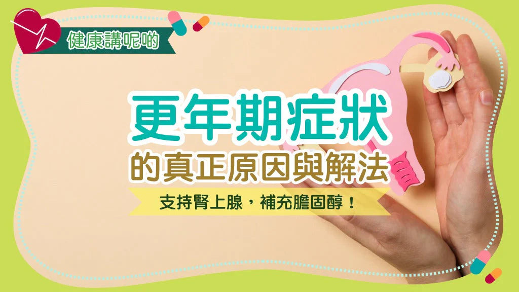 更年期症狀的真正原因與解法：支持腎上腺，補充膽固醇！