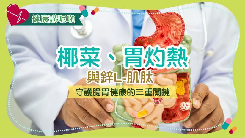 椰菜、胃灼熱與鋅L-肌肽：守護腸胃健康的三重關鍵