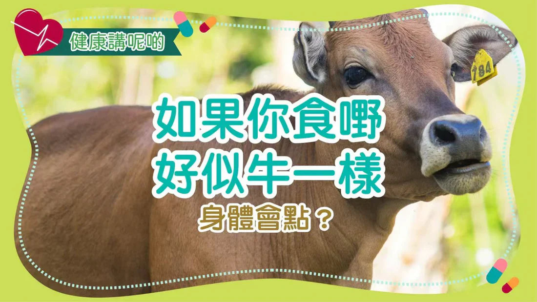 🧠 如果你食嘢好似牛一樣，身體會點？