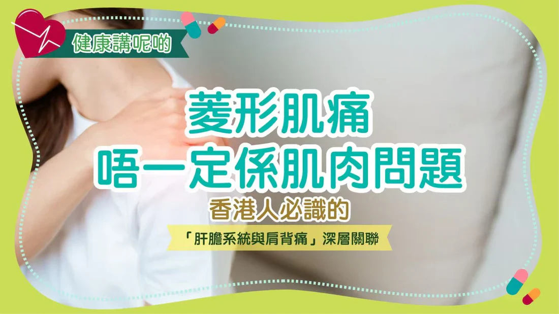 菱形肌痛唔一定係肌肉問題！香港人必識的「肝膽系統與肩背痛」深層關聯